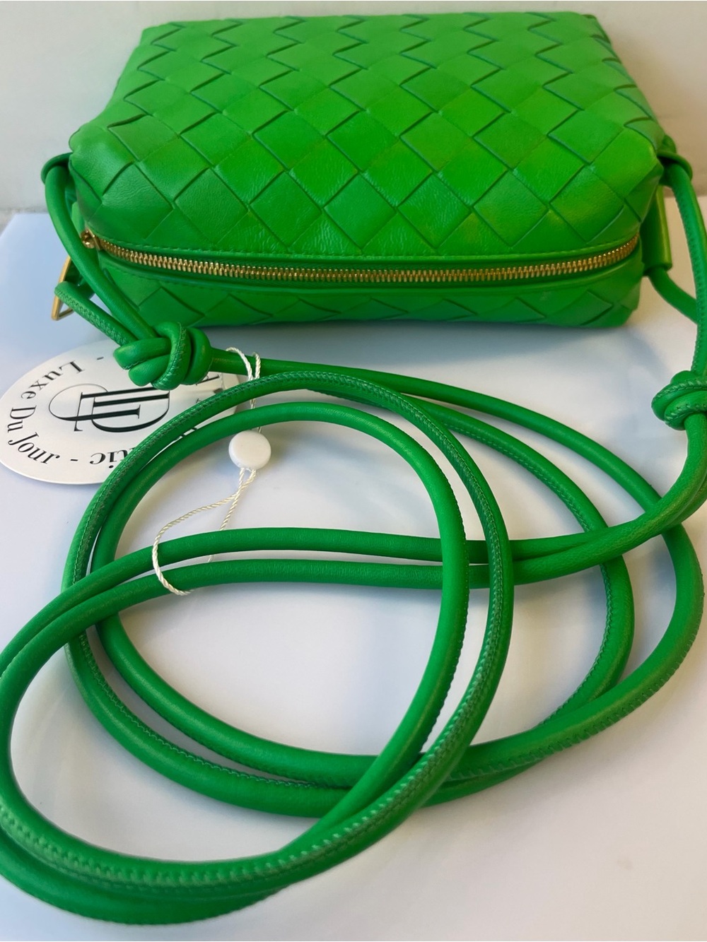 Bottega Veneta Mini camera bag parakeet